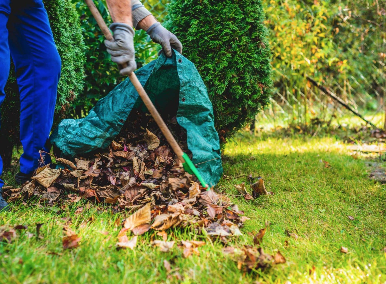 Impianti elettrici 1
